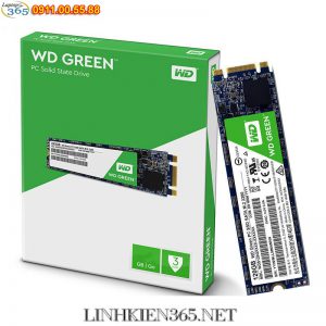 O cung SSD Western Digital Green 120GB M.2 2280 SATA 3